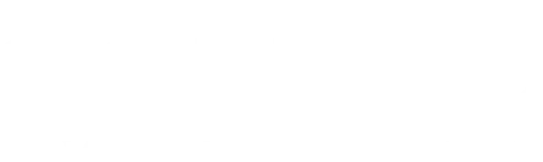 Techfrost Logo