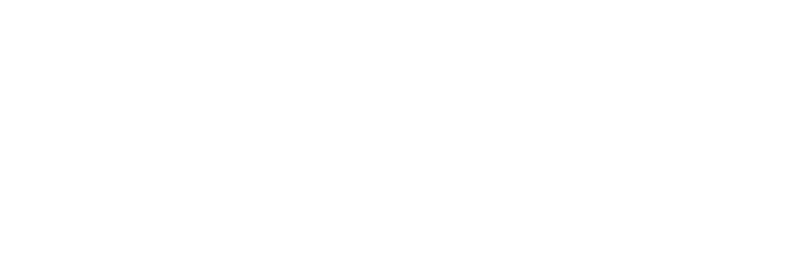 Techfrost Logo