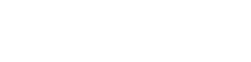 Techfrost Logo